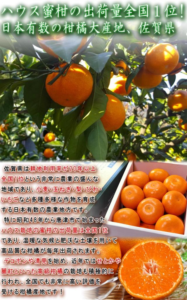 佐賀 タンゴール