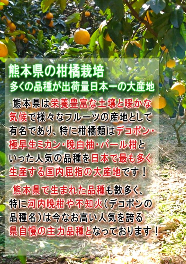 かわちばんかん 蜜柑