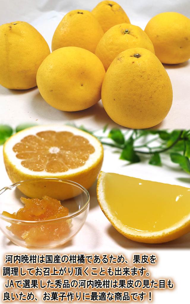 マーマレード 柑橘