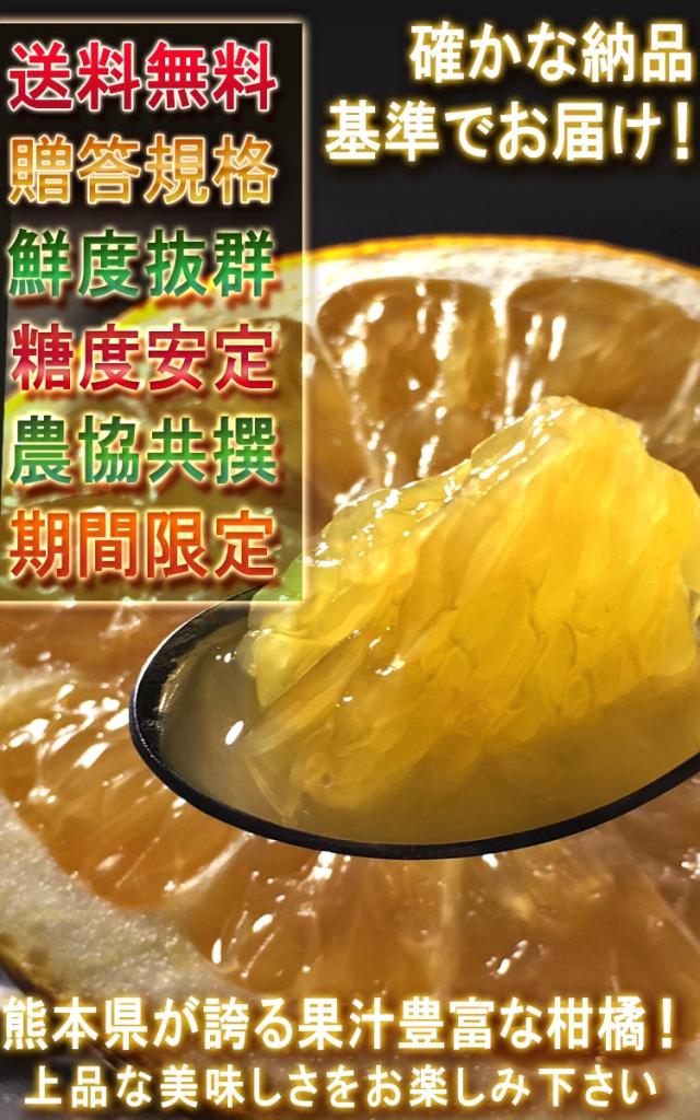 果物 ギフト