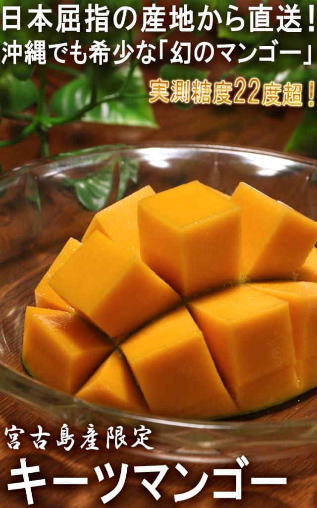 キーツマンゴー 産地直送