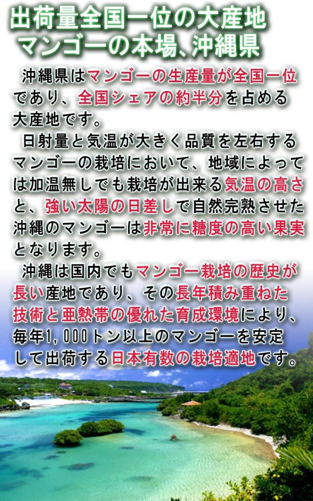 沖縄 マンゴー