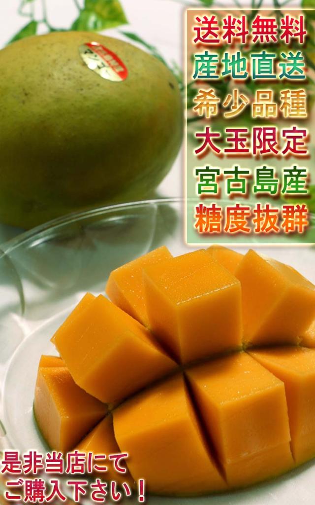 マンゴー 沖縄直送
