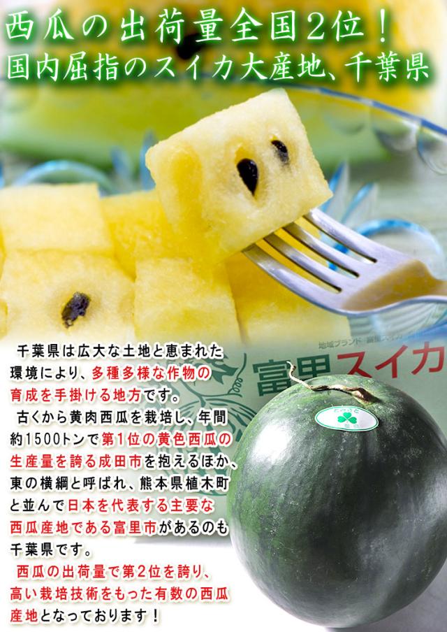 千葉 黄色西瓜