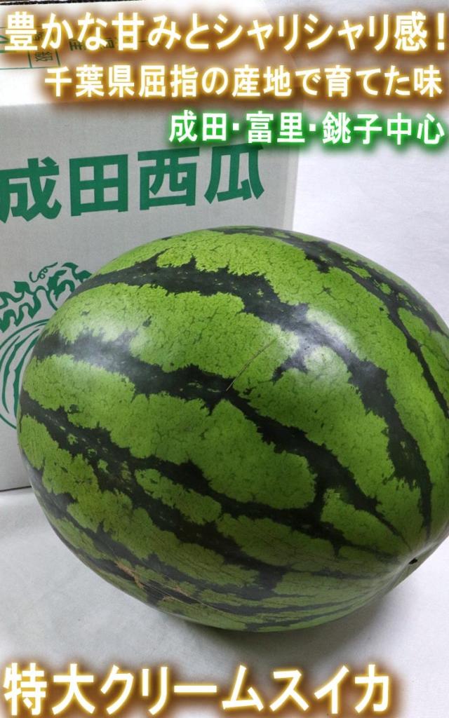 黄色西瓜 フルーツ