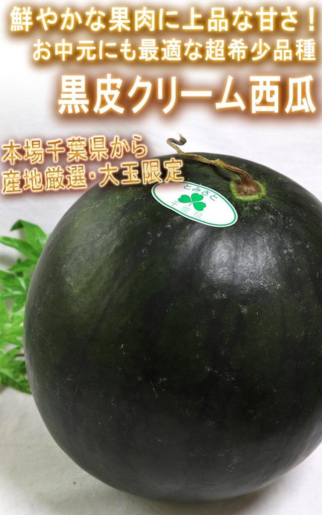 黒皮すいか 黄色