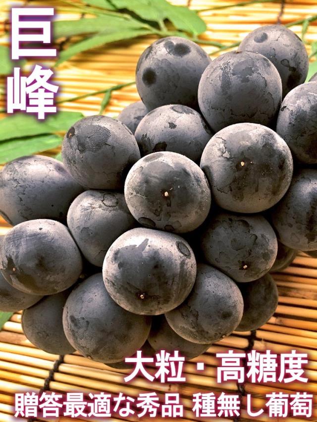 巨峰 通販