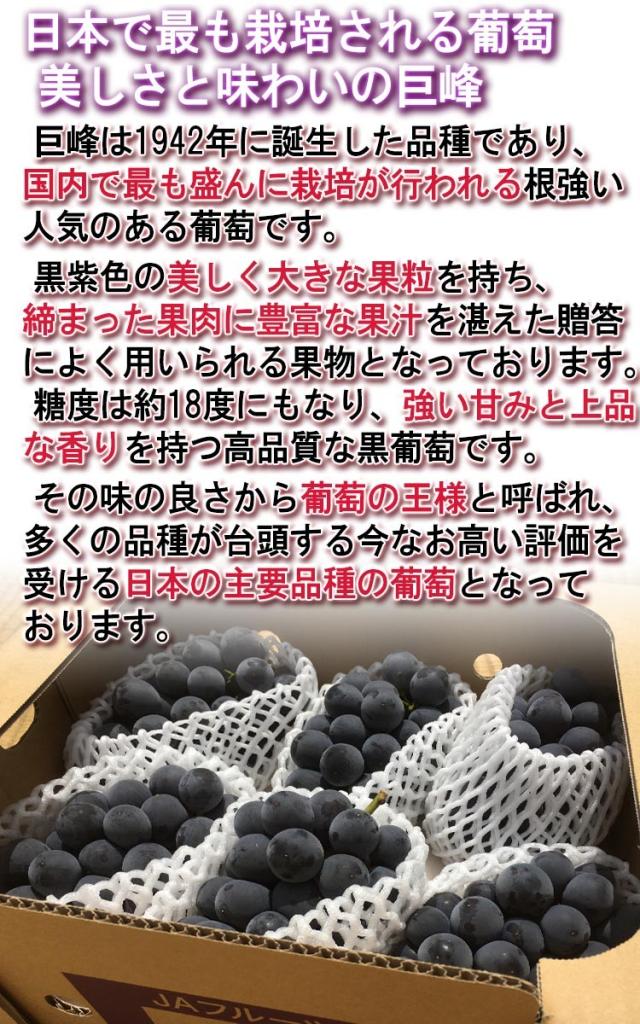 葡萄 山梨県