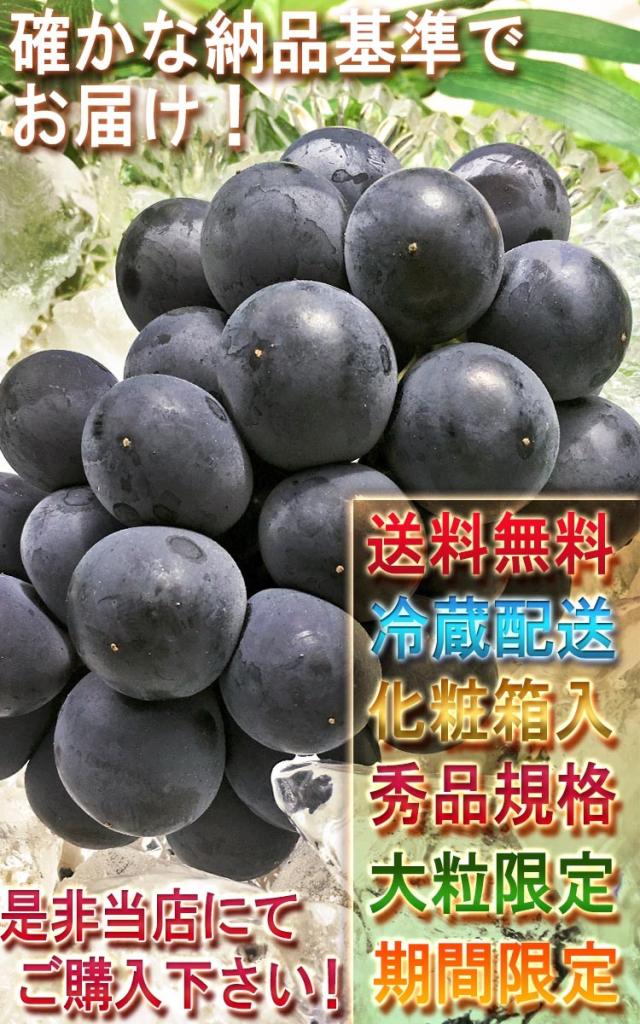 高糖度 ぶどう