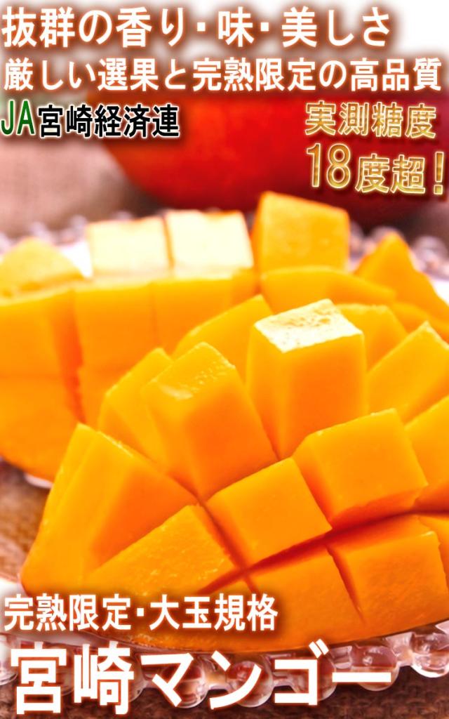 宮崎マンゴー フルーツ