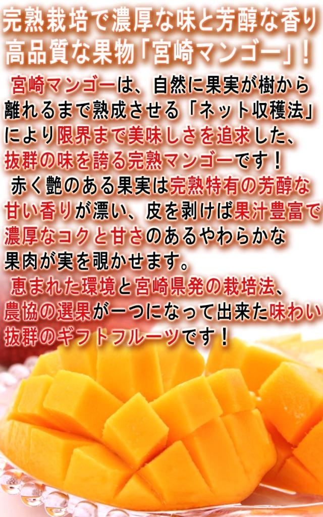 みやざき マンゴー