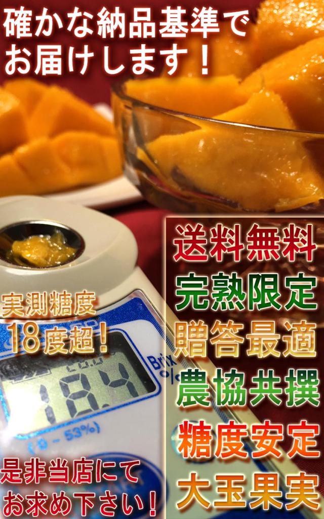 果物 高級品
