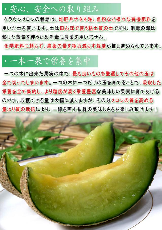 フルーツ マスクメロン