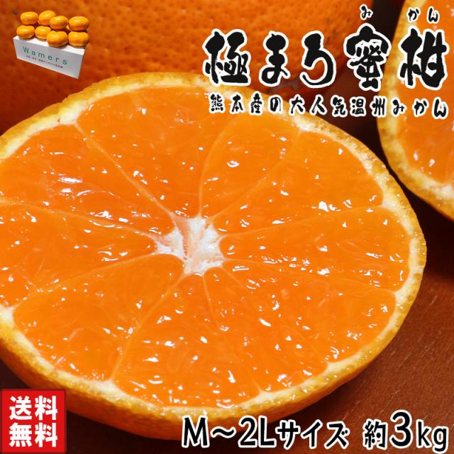 温州みかん 極まろ蜜柑