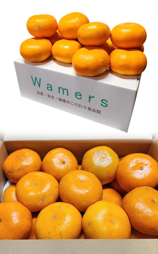 温州みかん 極まろ蜜柑