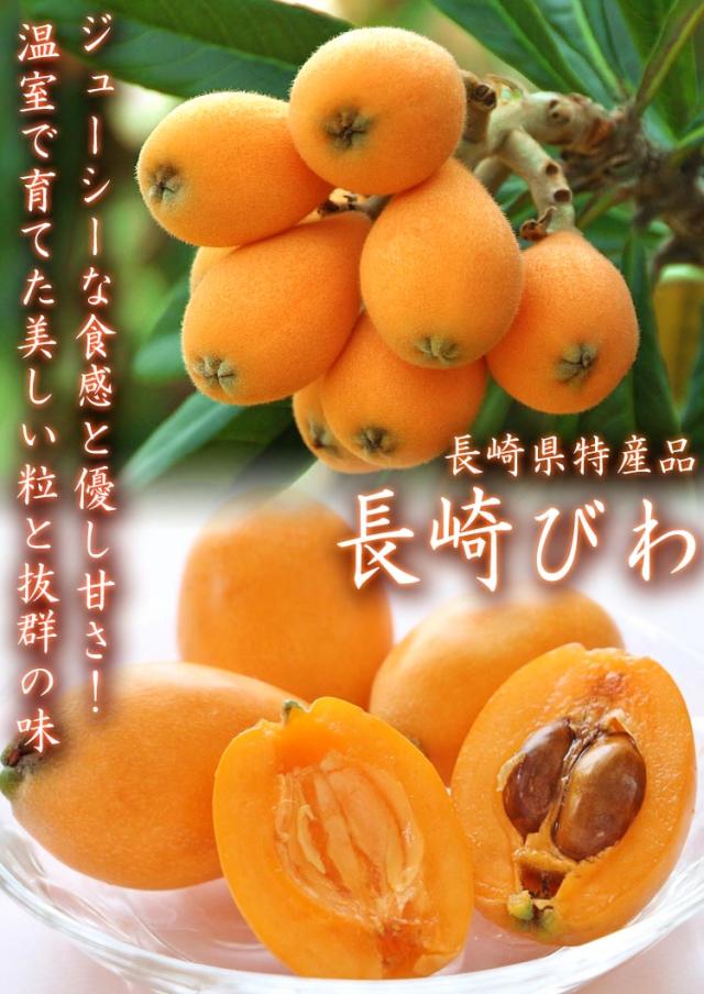 長崎びわ ギフト