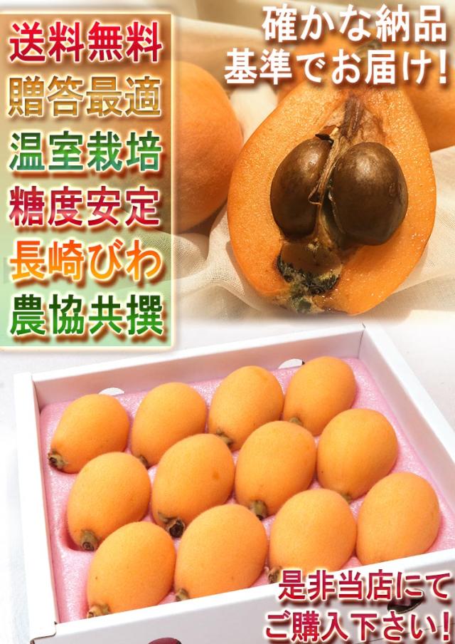 ギフト 果物