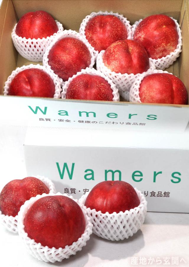 フルーツ やまなし