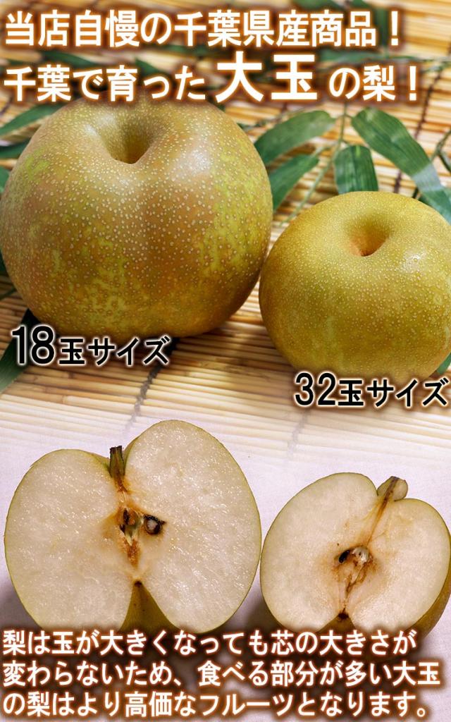 大玉 ナシ