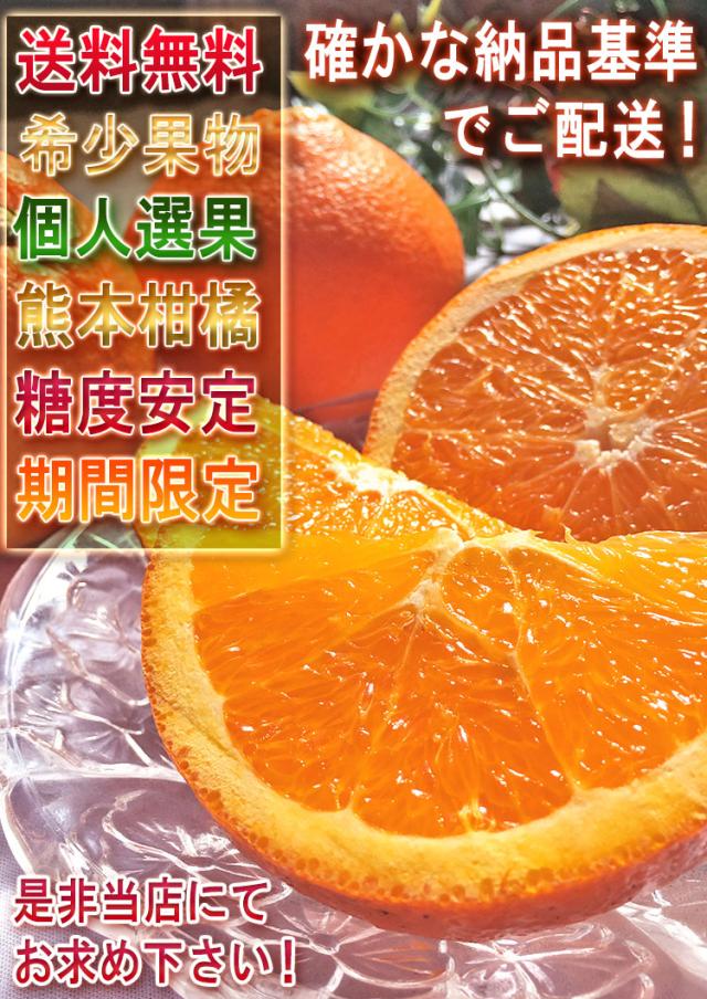 国産 ネーブルオレンジ