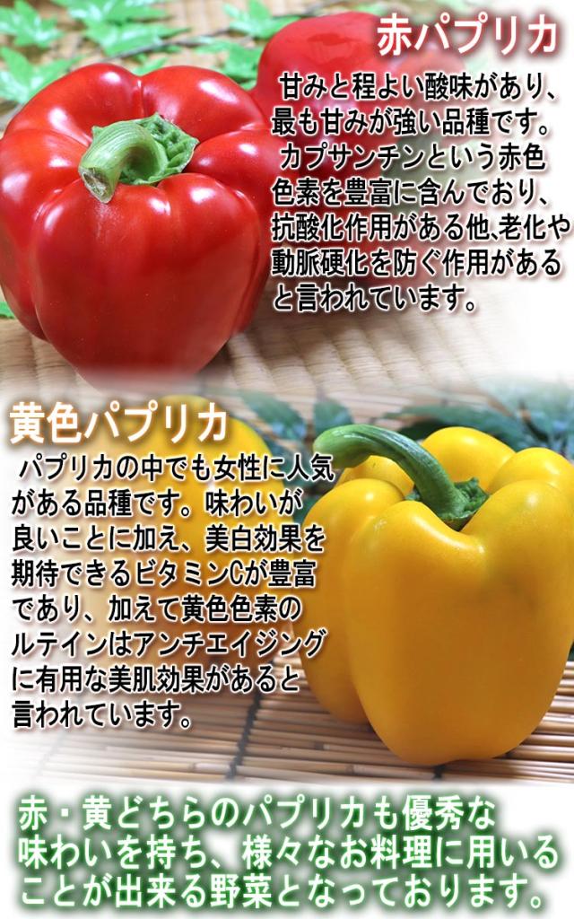 やさい パプリカ