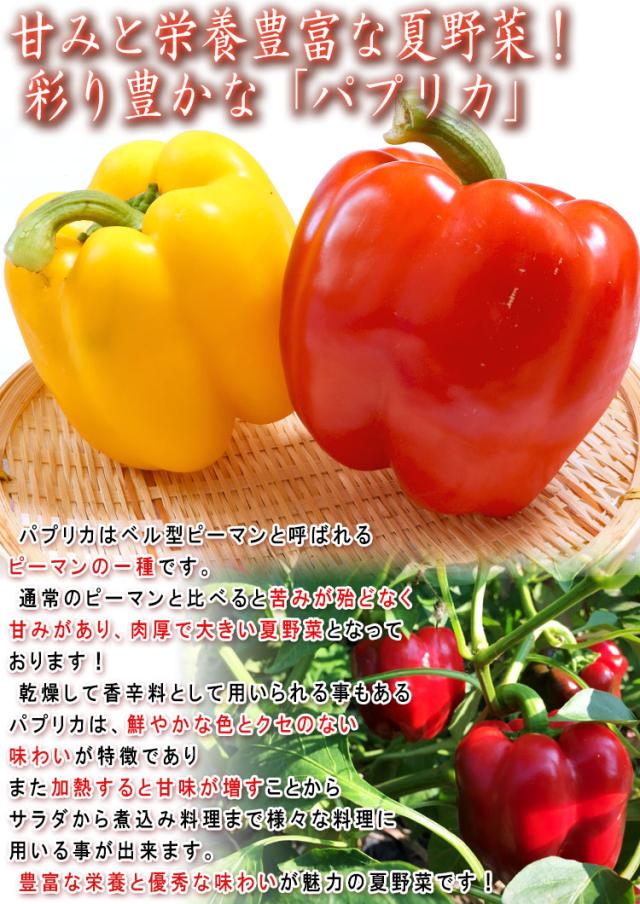 海外 パプリカ