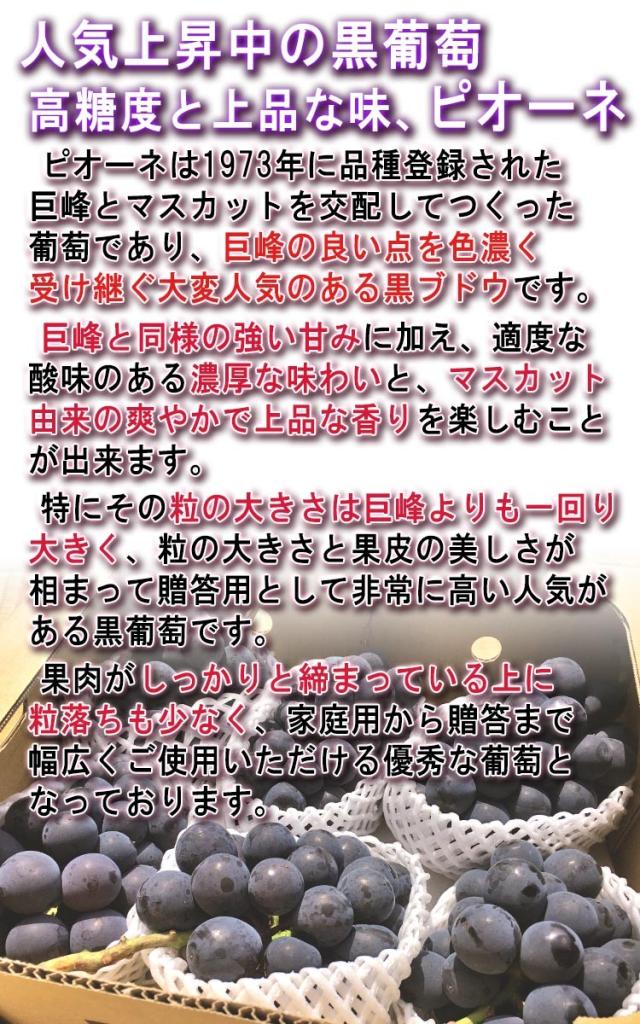 ぶどう 高糖度