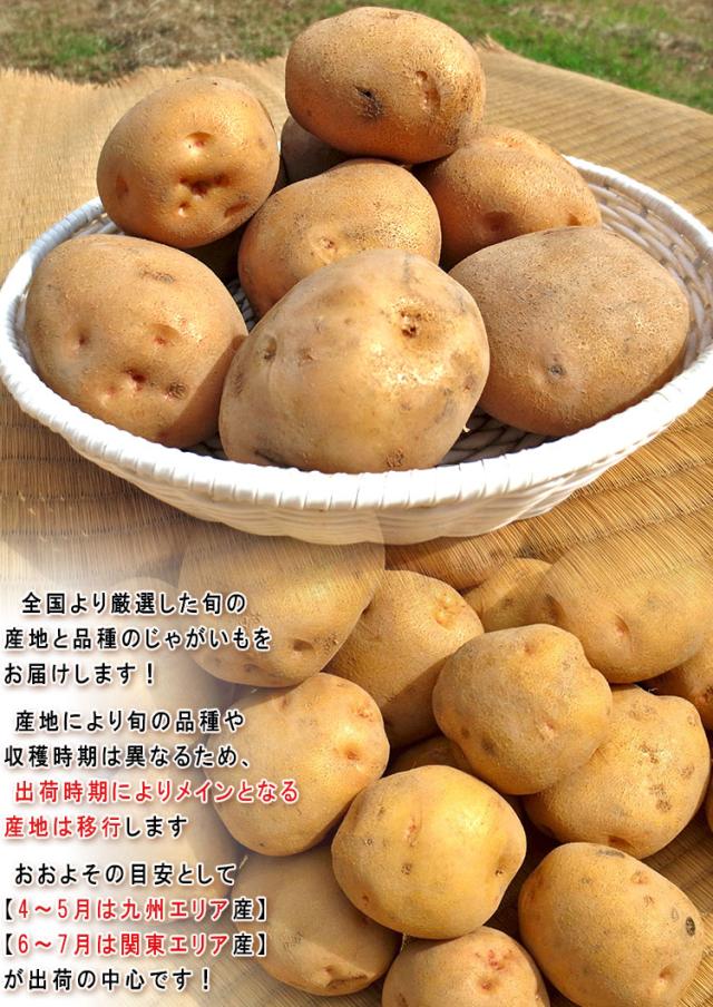 ばれいしょ 全国