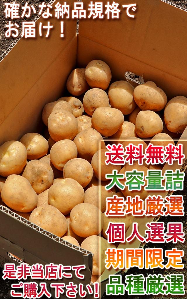 大容量 野菜