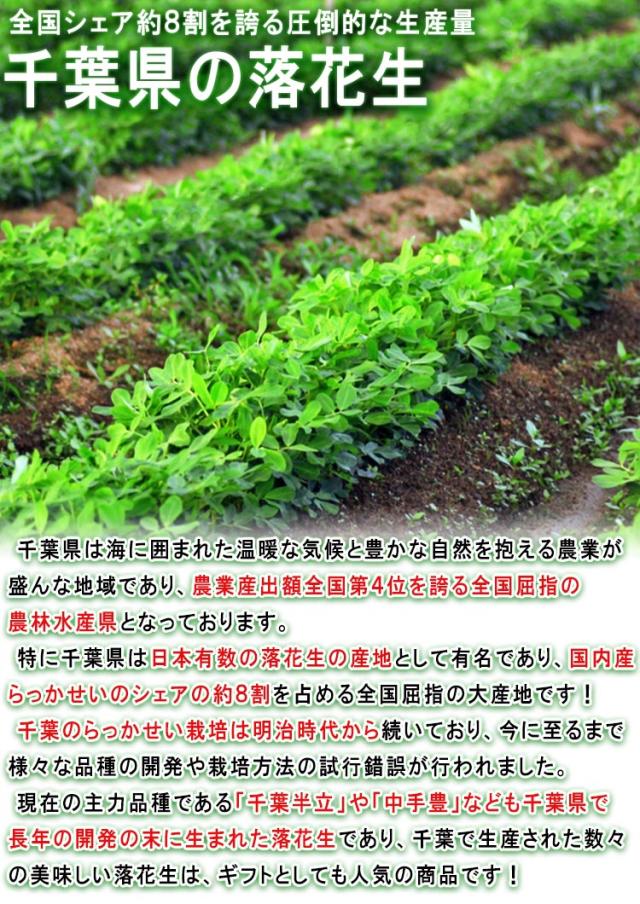 千葉 ラッカセイ