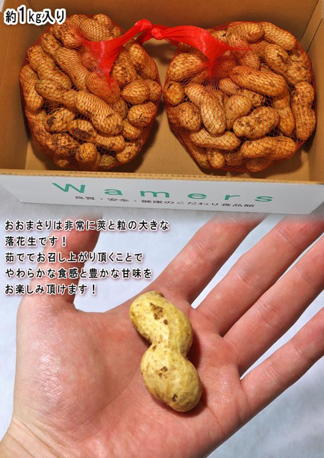 千葉 なま落花生