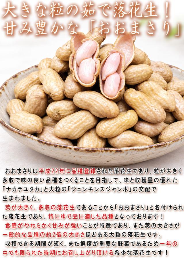 おおまさり 落花生