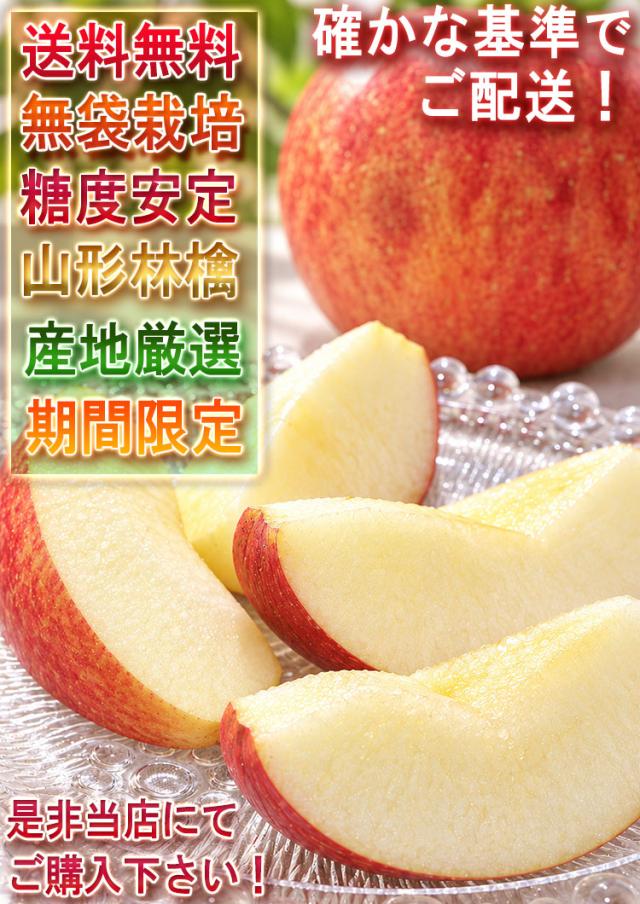 サンフジ りんご