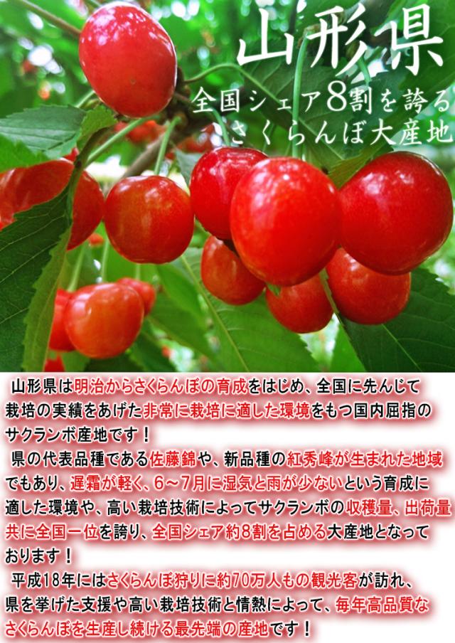山形 サクランボ