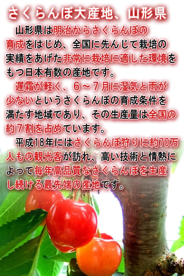 ギフト フルーツ