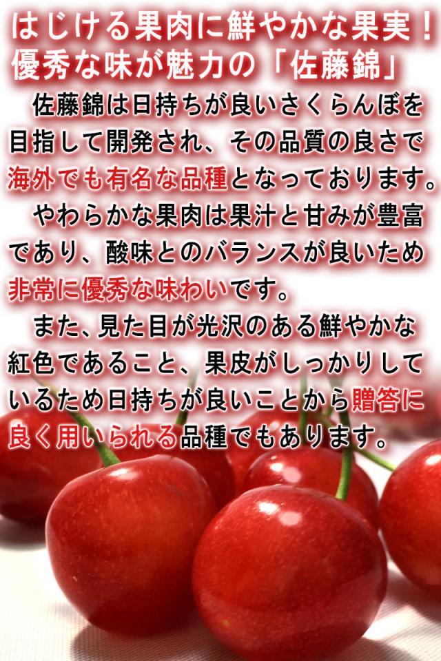 温室 さくらんぼ