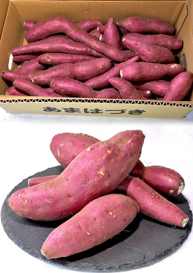 早堀り 野菜