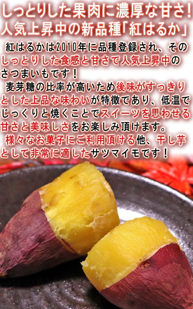 紅はるか さつまいも