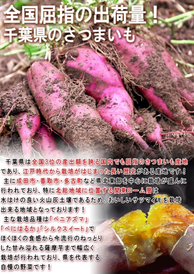 千葉 やさい