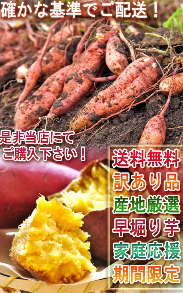 早堀りサツマイモ