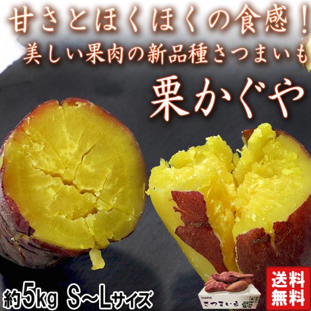 栗かぐや さつまいも