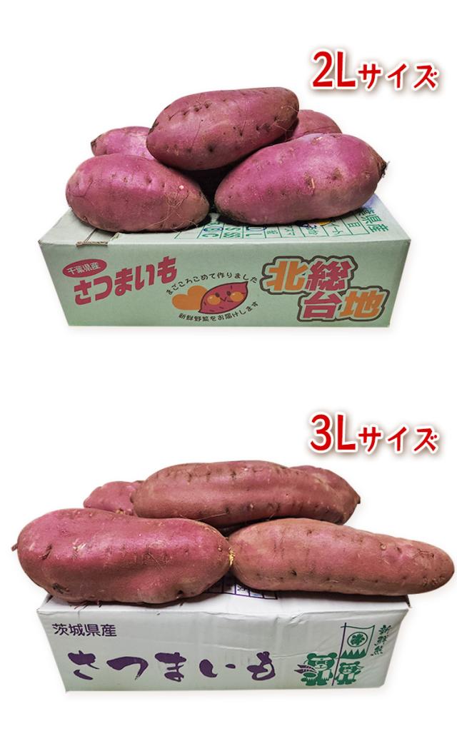 送料無料 栗かぐや