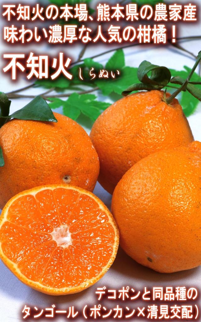 不知火 熊本