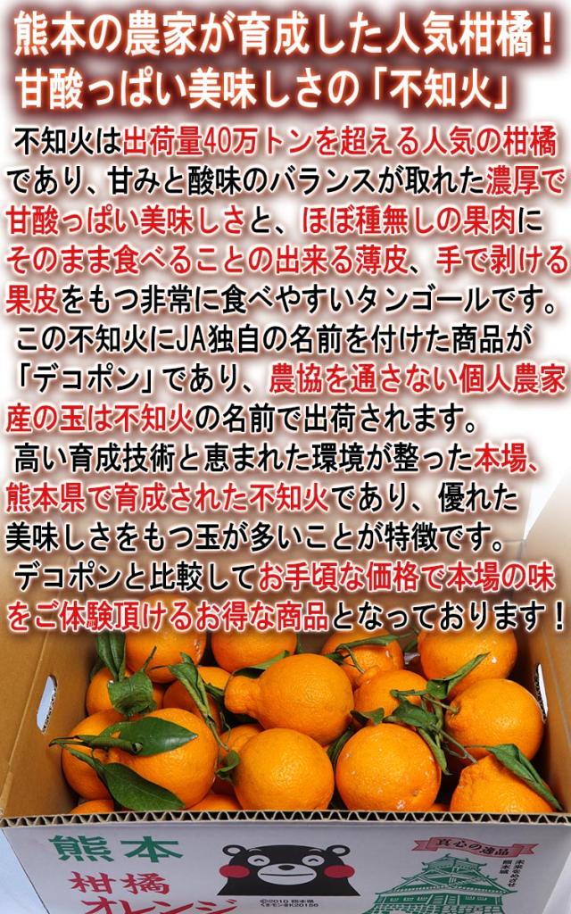 通販 フルーツ