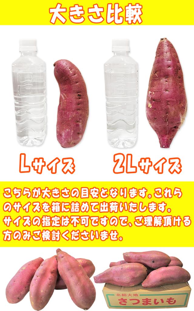 高糖度 栗かぐや