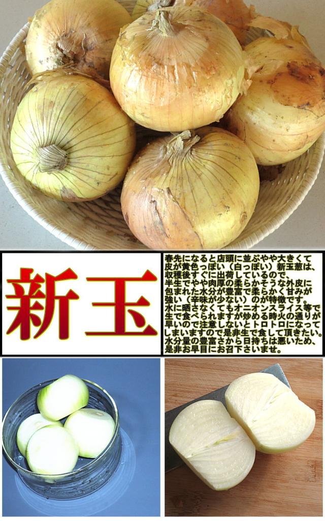 やさい タマネギ