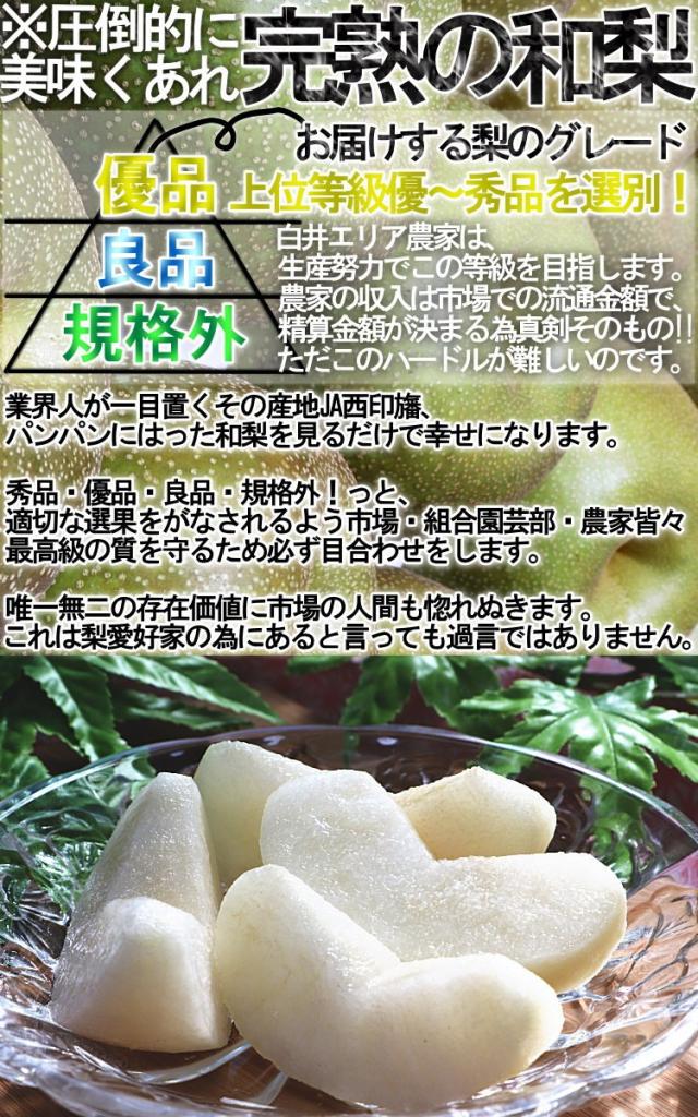 果物 和梨