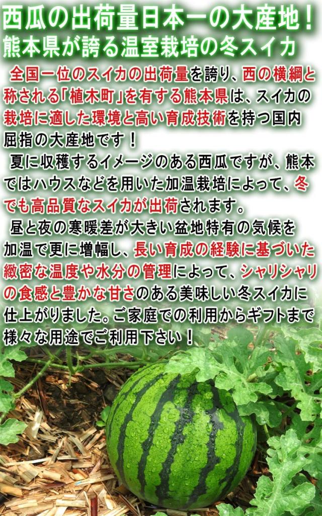 温室 紅まくら