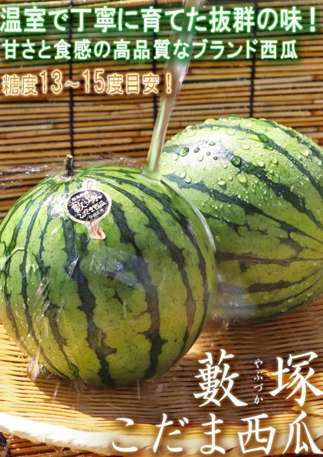 藪塚こだま西瓜 ギフト