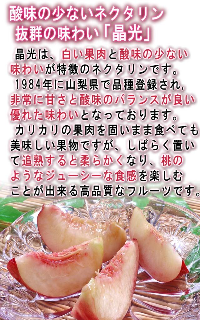 送料無料 ネクタリン